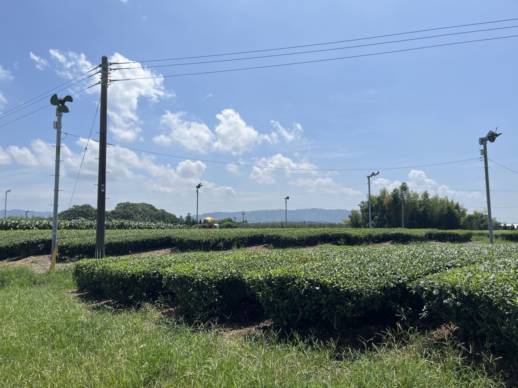 お茶屋さんのお土産やさん『お茶村』