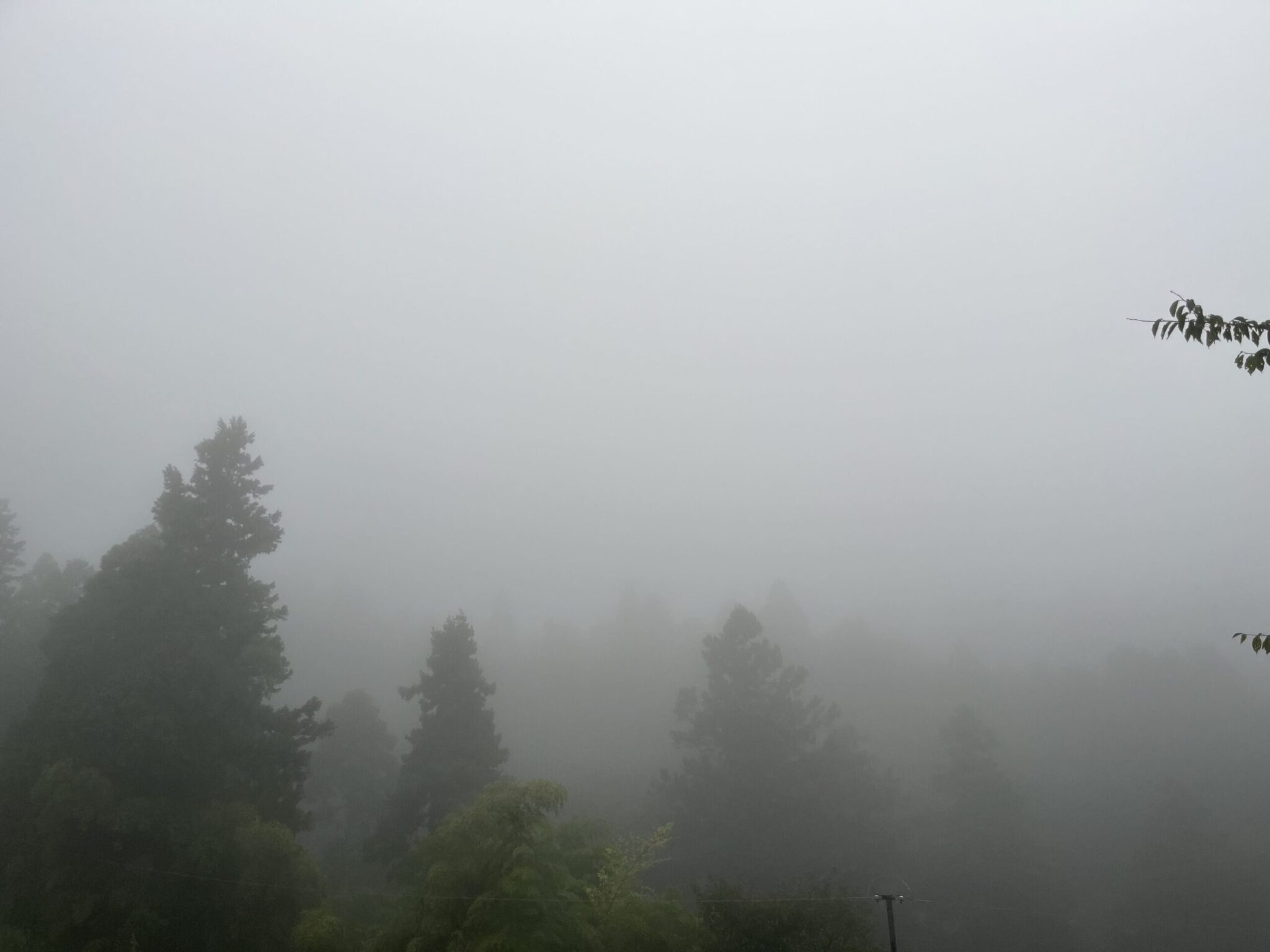 登っている途中に雨が降り始めました