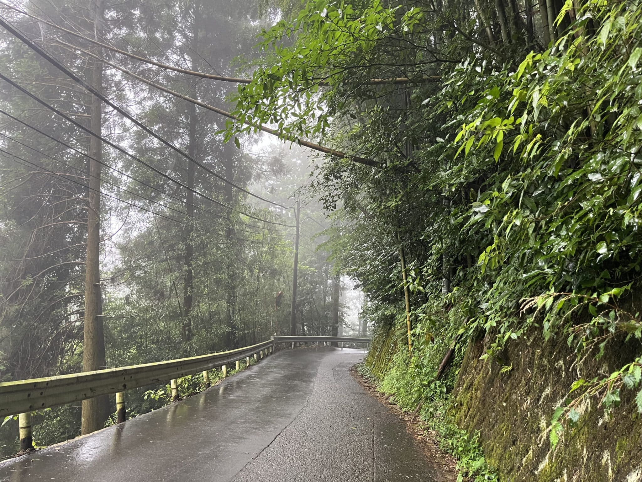 曲がった後はこんな感じです。山道ですが、綺麗に舗装されています。