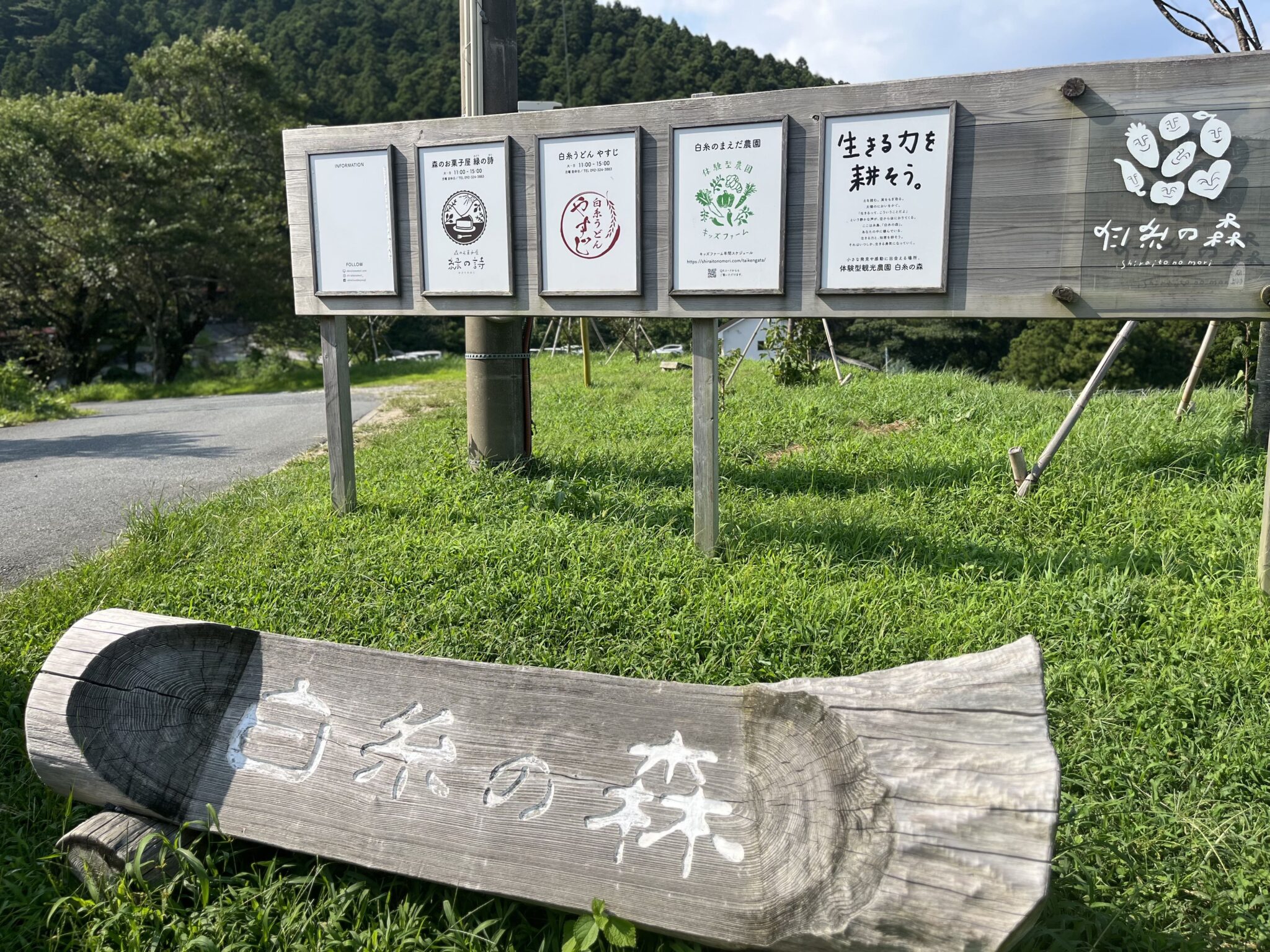 看板横の道を下っていきます。