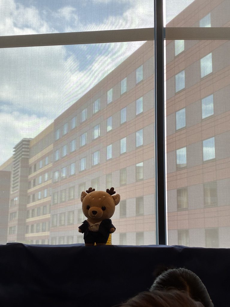 グッズ売り場を見守っていたマスコットの『あしかくん』